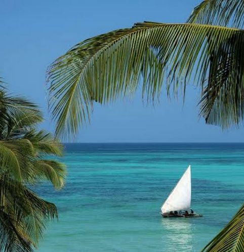 Blue Safaris Sailing